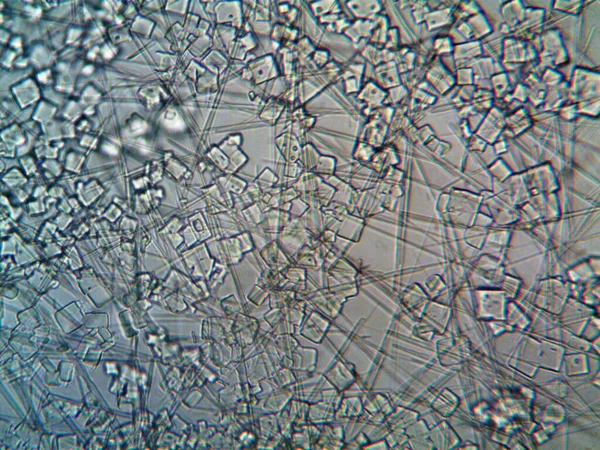 Evden Çıkarılan Mikro Kristaller — Stok fotoğraf