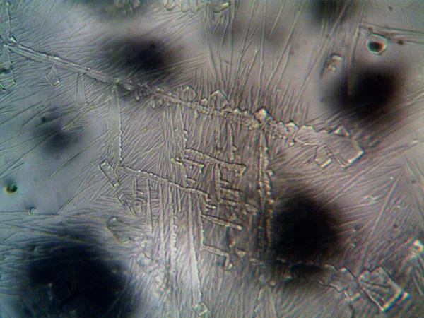 Микрокристаллы Извлеченные Домашних Условиях — стоковое фото