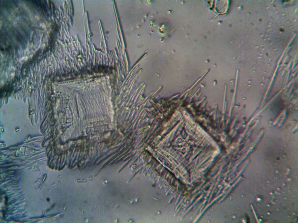 Micro Cristales Extraídos Casa —  Fotos de Stock