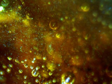 BHO 'nun fotoğrafı, ama kendinden yapılmış haşhaş yağı. Fotoğraf: mikroskop, serval efektli.