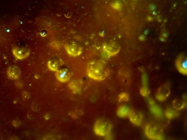 BHO 'nun fotoğrafı, ama kendinden yapılmış haşhaş yağı. Fotoğraf: mikroskop, serval efektli.