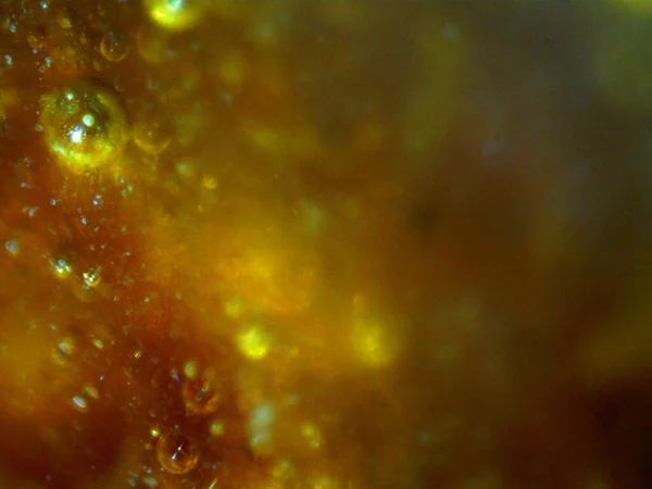 Photo Bho Buthan Hash Oil Self Made Photo Microscope Serval — стокове фото