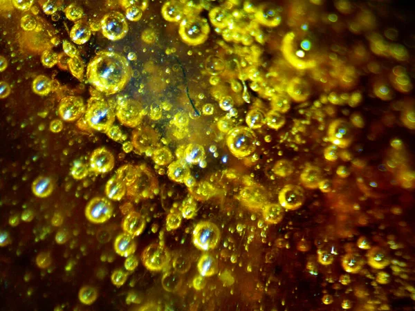 Photo Bho Buthan Hash Oil Self Made Photo Microscope Serval — Stock Photo, Image