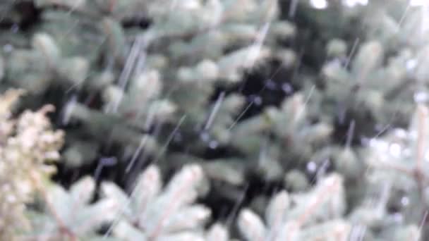 Neige rapide sur le fond doux 