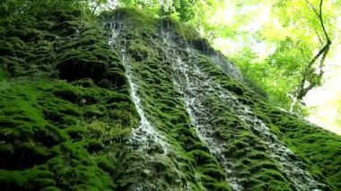 Ferahlatıcı bir şelale