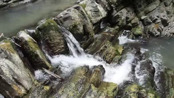 La sorgente del fiume di montagna — Video Stock