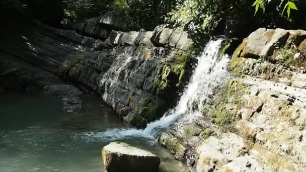 Arroyo de montaña en el bosque — Vídeos de Stock