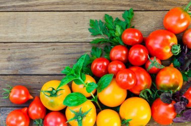 Kırmızı ve sarı domates, maydanoz, fesleğen ahşap bir masa üzerinde