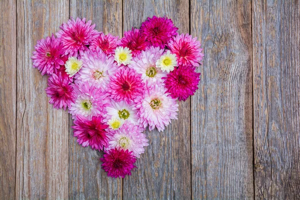 Hermosas Flores Crisantemo Forma Corazón Sobre Una Mesa Madera — Foto de Stock