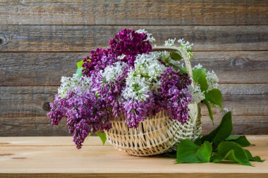 Tahta bir sepetin içindeki renkli leylak çiçekleri.