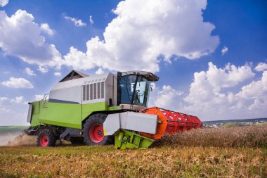 Hasat. Birleşim tarlada buğday biçiyor
