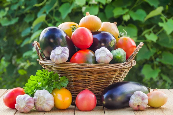 Légumes Bio Frais Mûrs Dans Panier Osier Sur Une Table — Photo