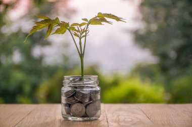 Cam bir kavanozda bozuk para birikmiş. Birikmiş büyüme kavramı. Finansal büyüme kavramı