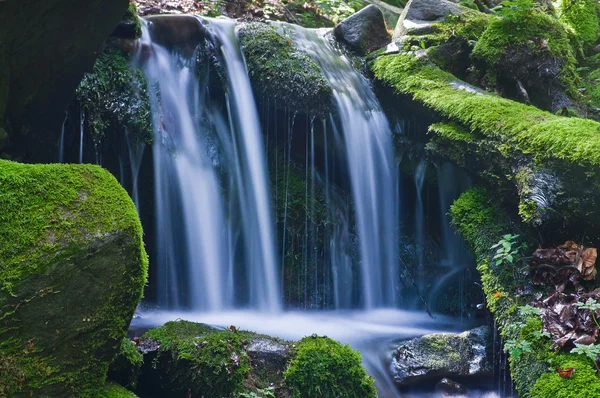 Uma pequena cachoeira — Fotografia de Stock