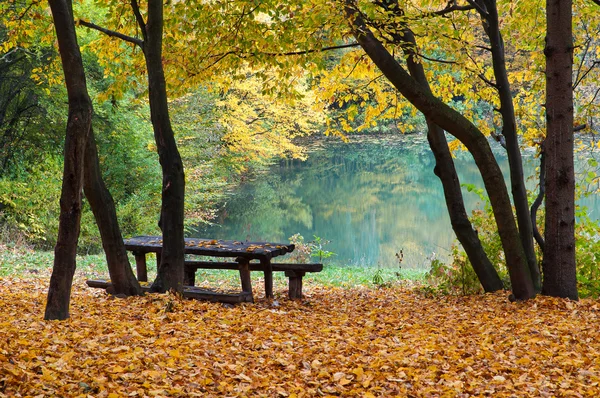 sonbahar Forest Lake