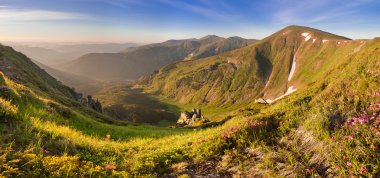 Sihirli pembe ormangülü çiçek yaz Dağı'nda. Dramatik sce