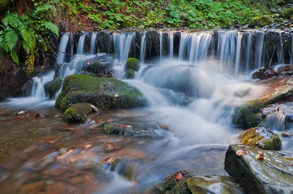 Floresta cachoeira e pedras cobertas de musgo — Fotografia de Stock