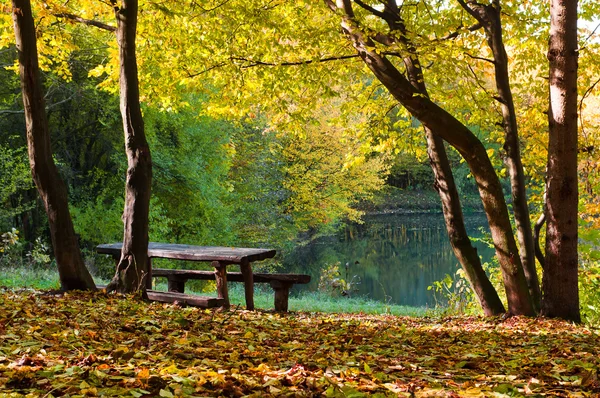 sonbahar Forest Lake