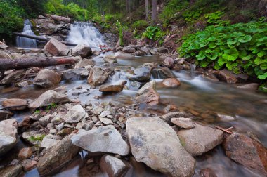 Küçük bir şelale üzerinde Karpatlar nehirde. Avrupa, Ukrai