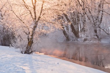 Frost ile kış manzara ağaçlar nehir banka ile kaplı