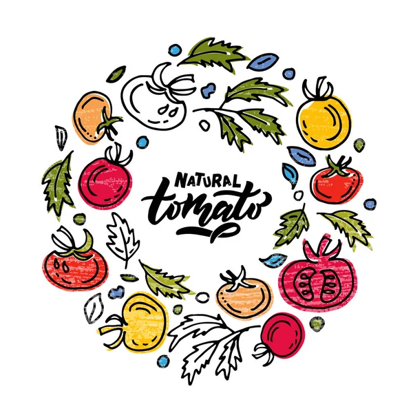 Elle çizilmiş domates ürünü tipografisi. Çiftçi pazarı, organik gıda, doğal ürün tasarımı kavramı — Stok Vektör