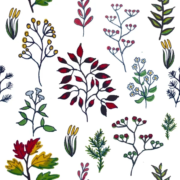 Ilustración vectorial de colorido pintado a mano a base de hierbas sin costura bac — Archivo Imágenes Vectoriales