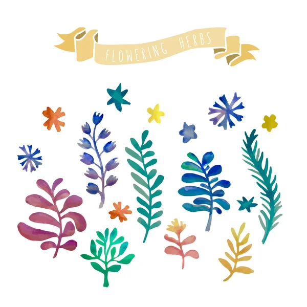 Vector watercolor flowers collection. Awesome flowers made in wa — Stok Vektör