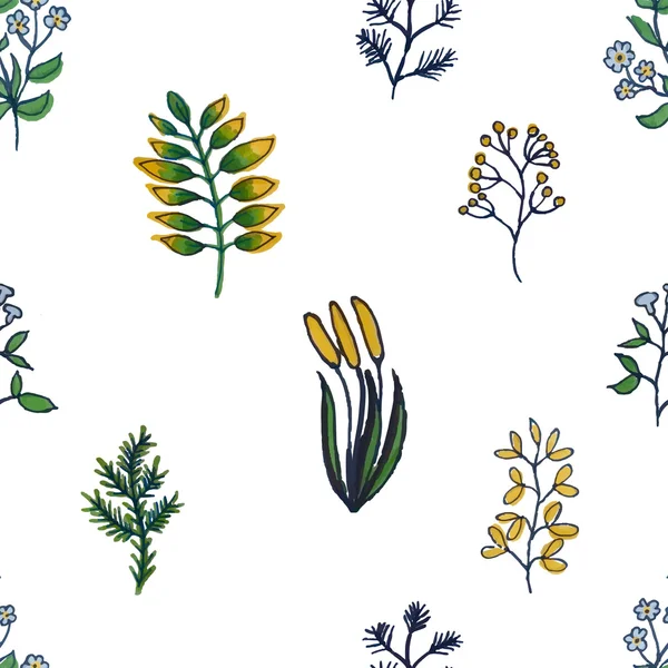 Illustration vectorielle de bac sans couture à base de plantes peint à la main coloré — Image vectorielle