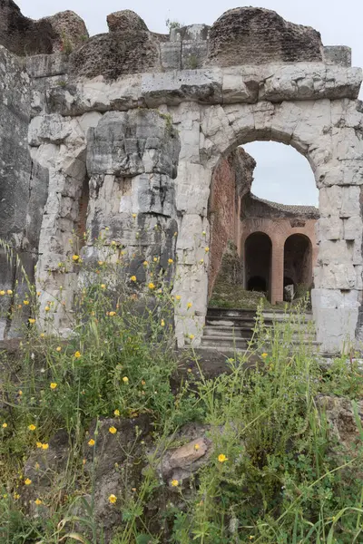 Римский Амфитеатр Внешний Вид Арены Древних Руин Заднем Плане Ясное — стоковое фото