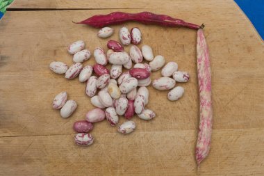 Borlotti fasulyeleri ahşap kesme tahtasına soyulmuş. Beyaz, kırmızı fasulye, benekli, çıplak. Ahşap kapsüller ve çapraz masa örtüsü. İtalyan kısa makarna malzemeleri. Fasulyeli makarna.