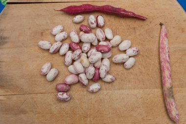 Borlotti fasulyeleri ahşap kesme tahtasına soyulmuş. Beyaz, kırmızı fasulye, benekli, çıplak. Ahşap kapsüller ve çapraz masa örtüsü. İtalyan kısa makarna malzemeleri. Fasulyeli makarna.