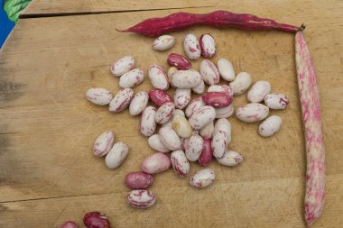 Borlotti fasulyeleri ahşap kesme tahtasına soyulmuş. Beyaz, kırmızı fasulye, benekli, çıplak. Ahşap kapsüller ve çapraz masa örtüsü. İtalyan kısa makarna malzemeleri. Fasulyeli makarna.