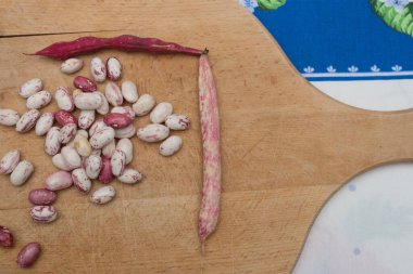 Borlotti fasulyeleri ahşap kesme tahtasına soyulmuş. Beyaz, kırmızı fasulye, benekli, çıplak. Ahşap kapsüller ve çapraz masa örtüsü. İtalyan kısa makarna malzemeleri. Fasulyeli makarna.
