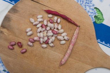Borlotti fasulyeleri ahşap kesme tahtasına soyulmuş. Beyaz, kırmızı fasulye, benekli, çıplak. Ahşap kapsüller ve çapraz masa örtüsü. İtalyan kısa makarna malzemeleri. Fasulyeli makarna.