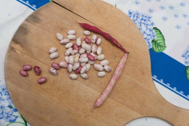 Borlotti fasulyeleri ahşap kesme tahtasına soyulmuş. Beyaz, kırmızı fasulye, benekli, çıplak. Ahşap kapsüller ve çapraz masa örtüsü. İtalyan kısa makarna malzemeleri. Fasulyeli makarna.