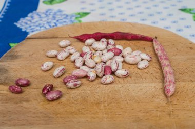 Borlotti fasulyeleri ahşap kesme tahtasına soyulmuş. Beyaz, kırmızı fasulye, benekli, çıplak. Ahşap kapsüller ve çapraz masa örtüsü. İtalyan kısa makarna malzemeleri. Fasulyeli makarna.