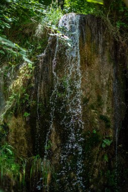 Şelalenin yüksek hızlı görüntüleri. İtalya, Campania 'daki W.W.F.Park' tan Senerchia Oasis. -