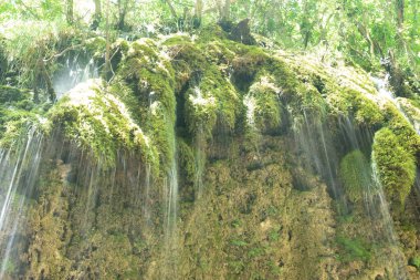 Şelalenin yüksek hızlı görüntüleri. İtalya, Campania 'daki W.W.F.Park' tan Senerchia Oasis. -