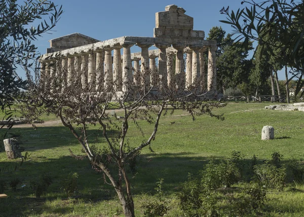Görög templomba a Ceres, Paestum, Cilento, Olaszország — Stock Fotó