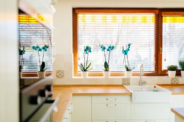 Kitchen appliances  in a contemporary interior — Stock Photo, Image