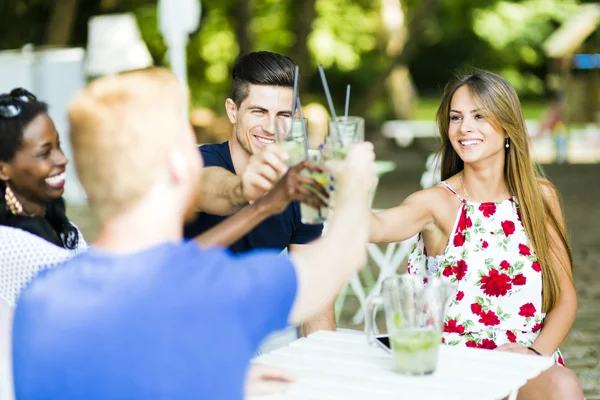 Group of happy people toasting — Stock Photo, Image