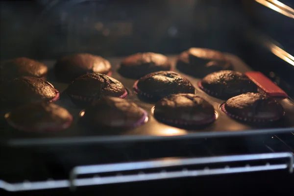 Muffins de chocolate en el horno — Foto de Stock