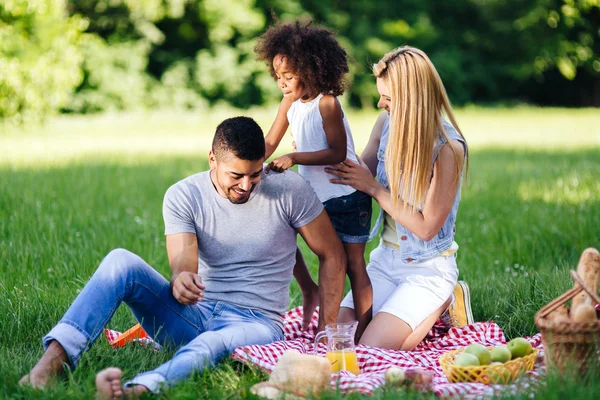 Cheerful happy family picnicking — Stock Photo, Image