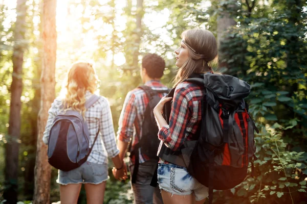 Pessoas caminhando na floresta — Fotografia de Stock