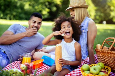 Family enjoying picnic outing clipart