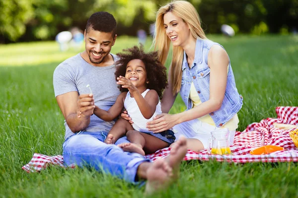 Mooie vrolijke familie genieten van picknick — Stockfoto