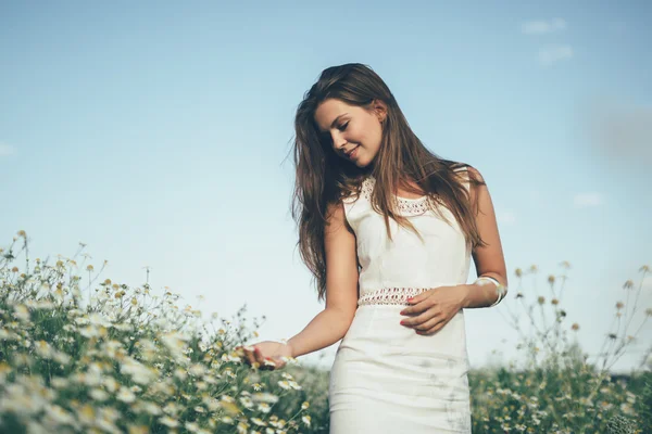 Hermosa mujer en el campo de manzanilla — Foto de Stock