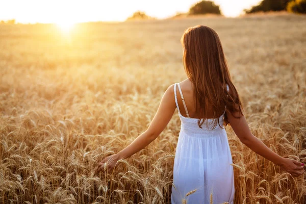 Beautiful woman in barley field — Stock Photo, Image