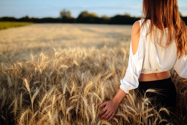 大麦の畑でロマンチックな女性 — ストック写真