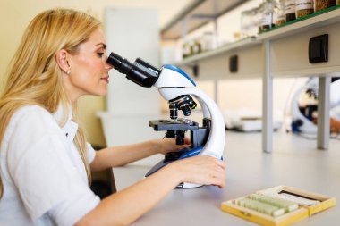 Laboratuvarda mikroskopla çalışan genç bir bilim kadını. Bilim insanları kavramını araştır